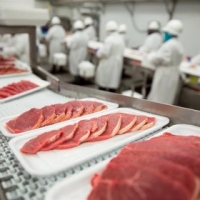 Mejora la eficiencia y conservación del frío en la industria de carnes con paneles aislantes